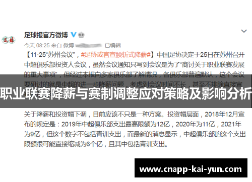 职业联赛降薪与赛制调整应对策略及影响分析