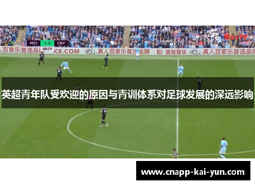 英超青年队受欢迎的原因与青训体系对足球发展的深远影响