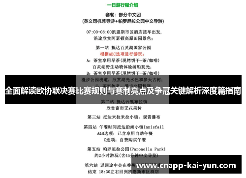 全面解读欧协联决赛比赛规则与赛制亮点及争冠关键解析深度篇指南