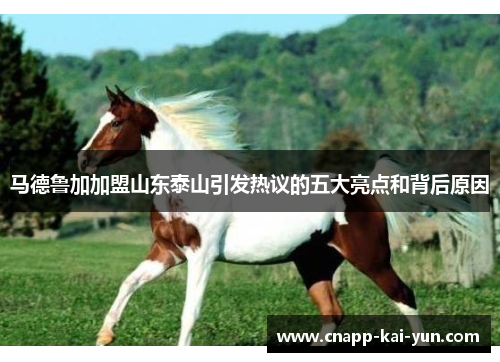 马德鲁加加盟山东泰山引发热议的五大亮点和背后原因